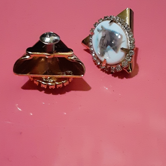 Horse Portrait Western Collar Tips - Picture 3 of 5